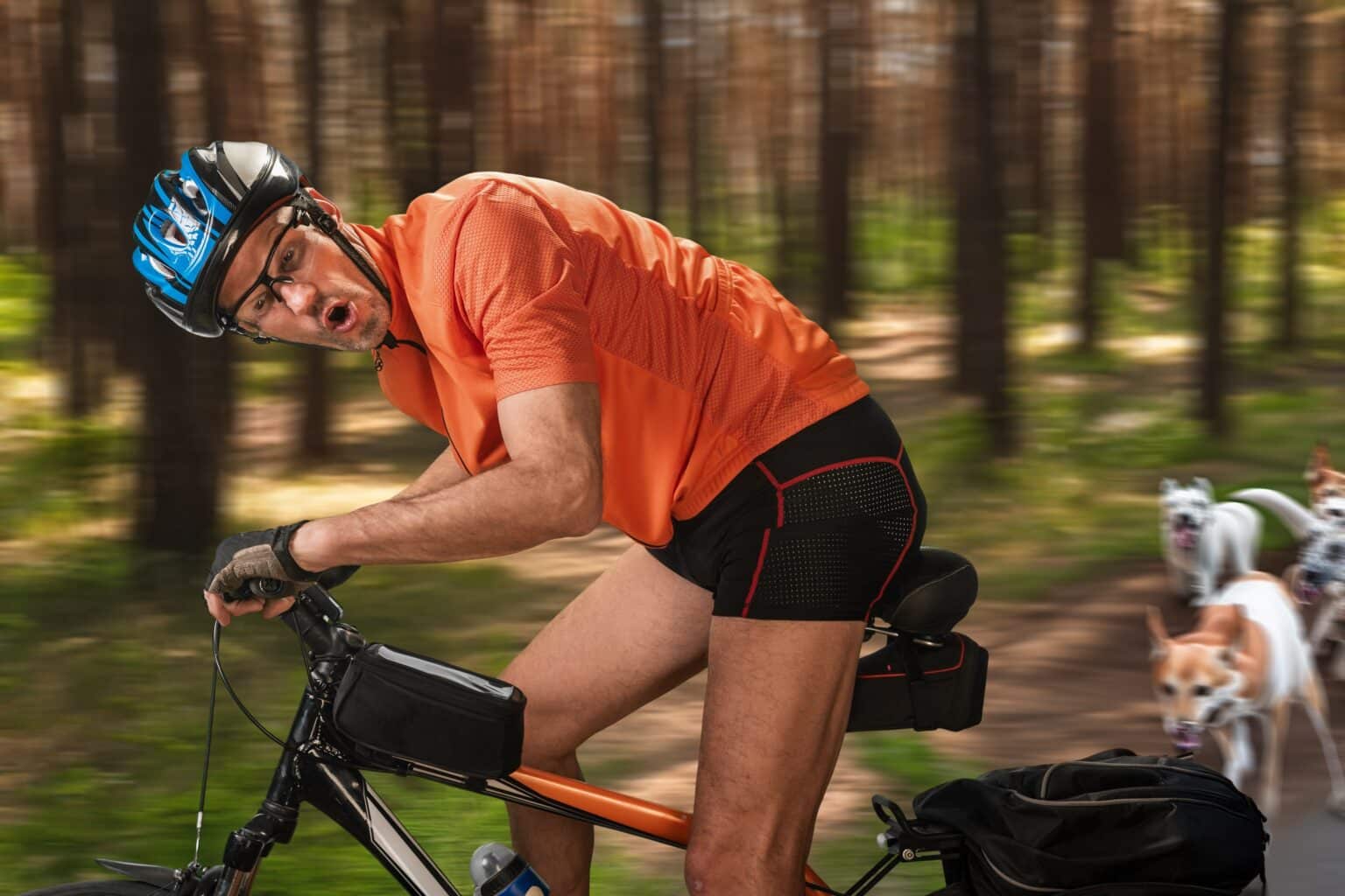 Cyclist injured after dog-related accident on trail